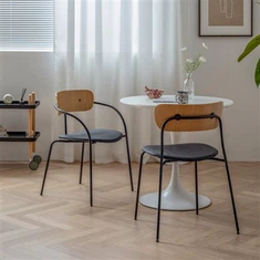 Plastikinė vintažinė kėdė